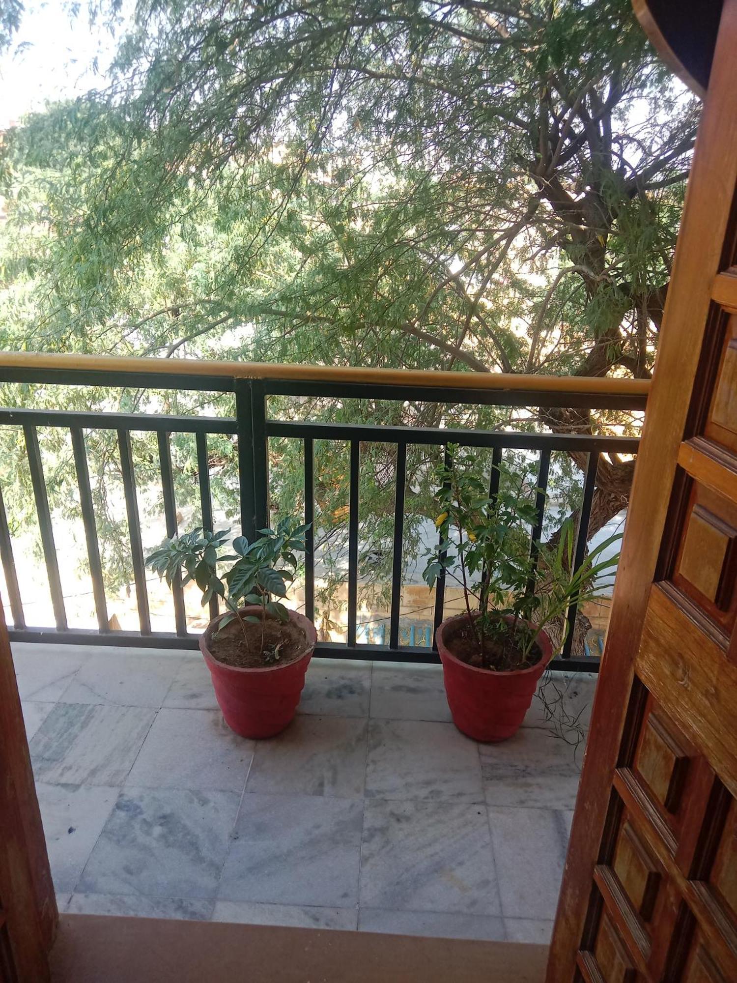 Hotel Neem Haveli Jaisalmer Exterior photo