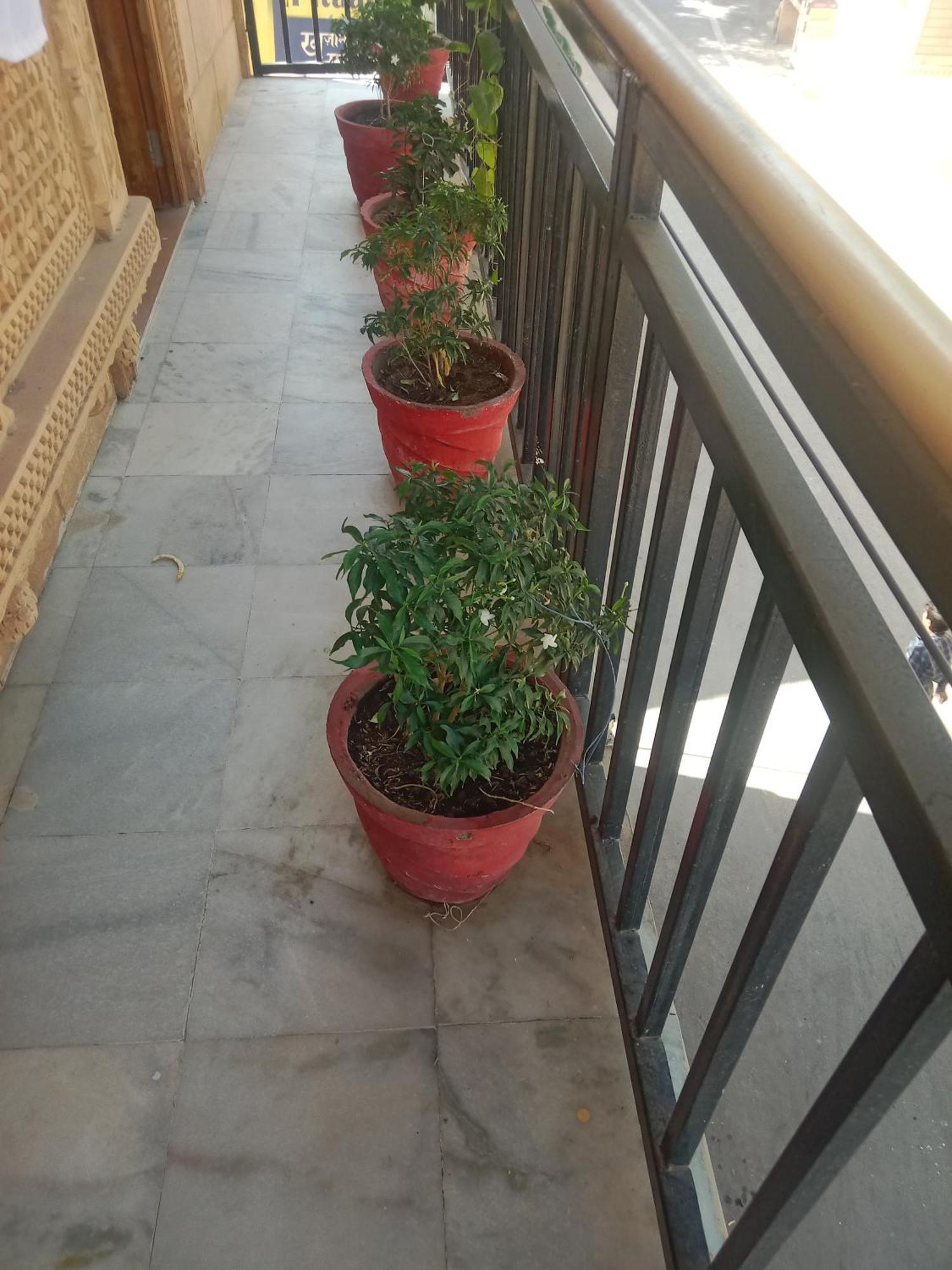 Hotel Neem Haveli Jaisalmer Exterior photo